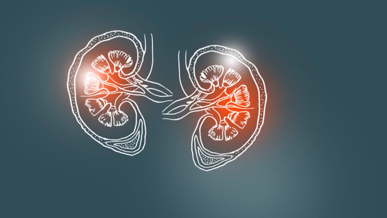 Medical, science set with main human organs with empty copy space for text or infographic on dark grey background