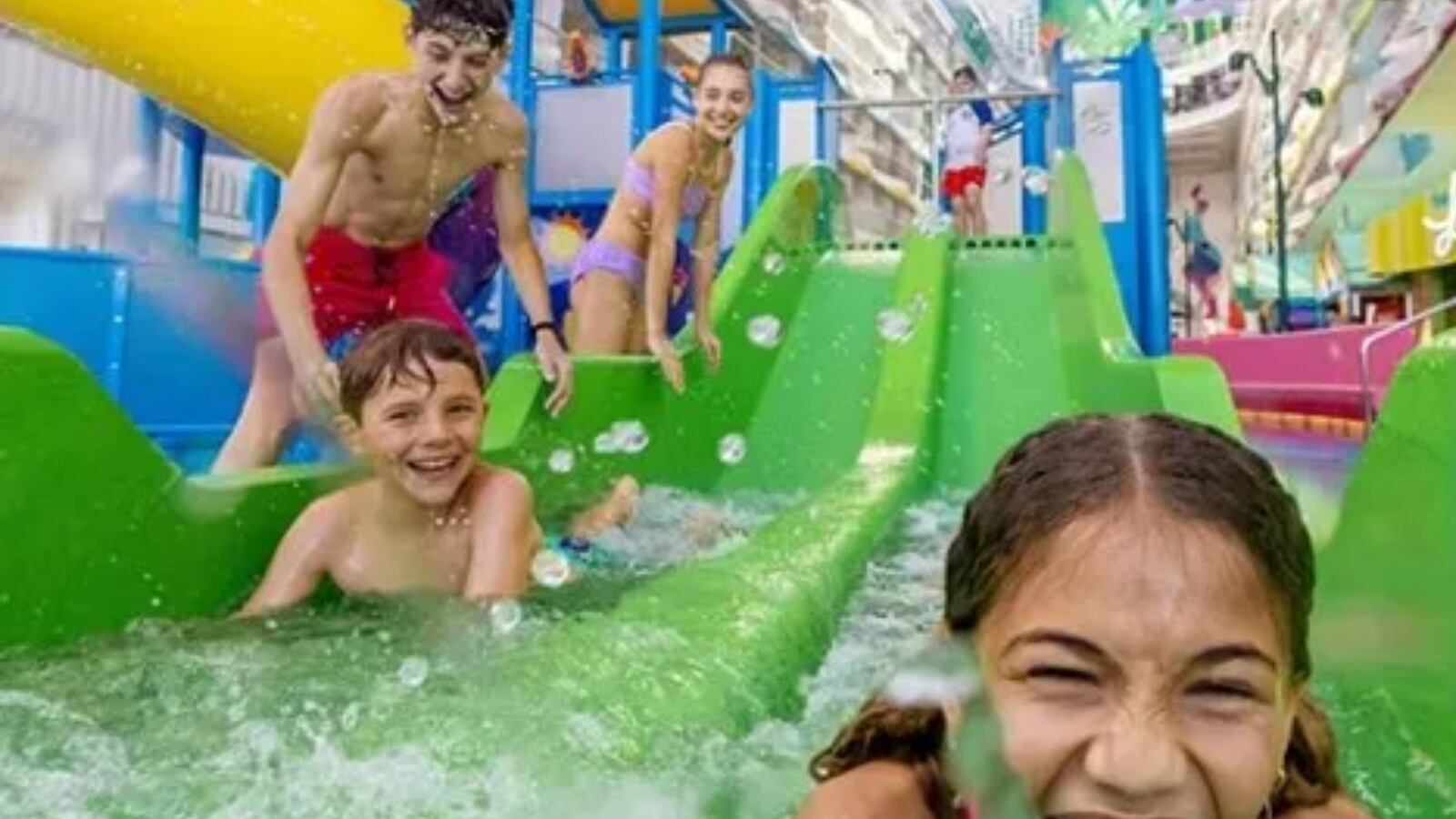 El Star of the Seas ofrece una gran variedad de alojamientos que combinan confort, lujo y espacio familiar.