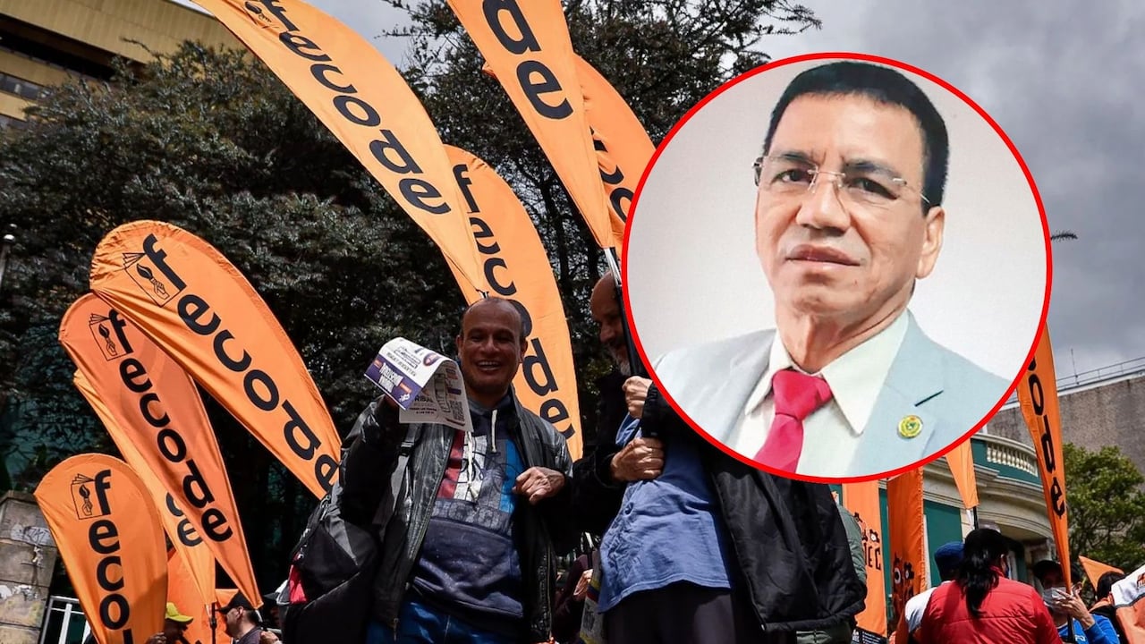 Presidente de Fecode explica por qué se unirán a las marchas del 19 de febrero.