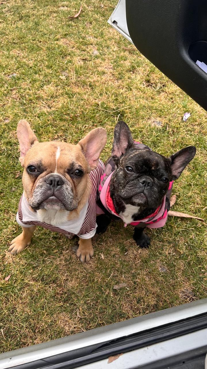 Coco, a la derecha, viste como se le ve en la foto.