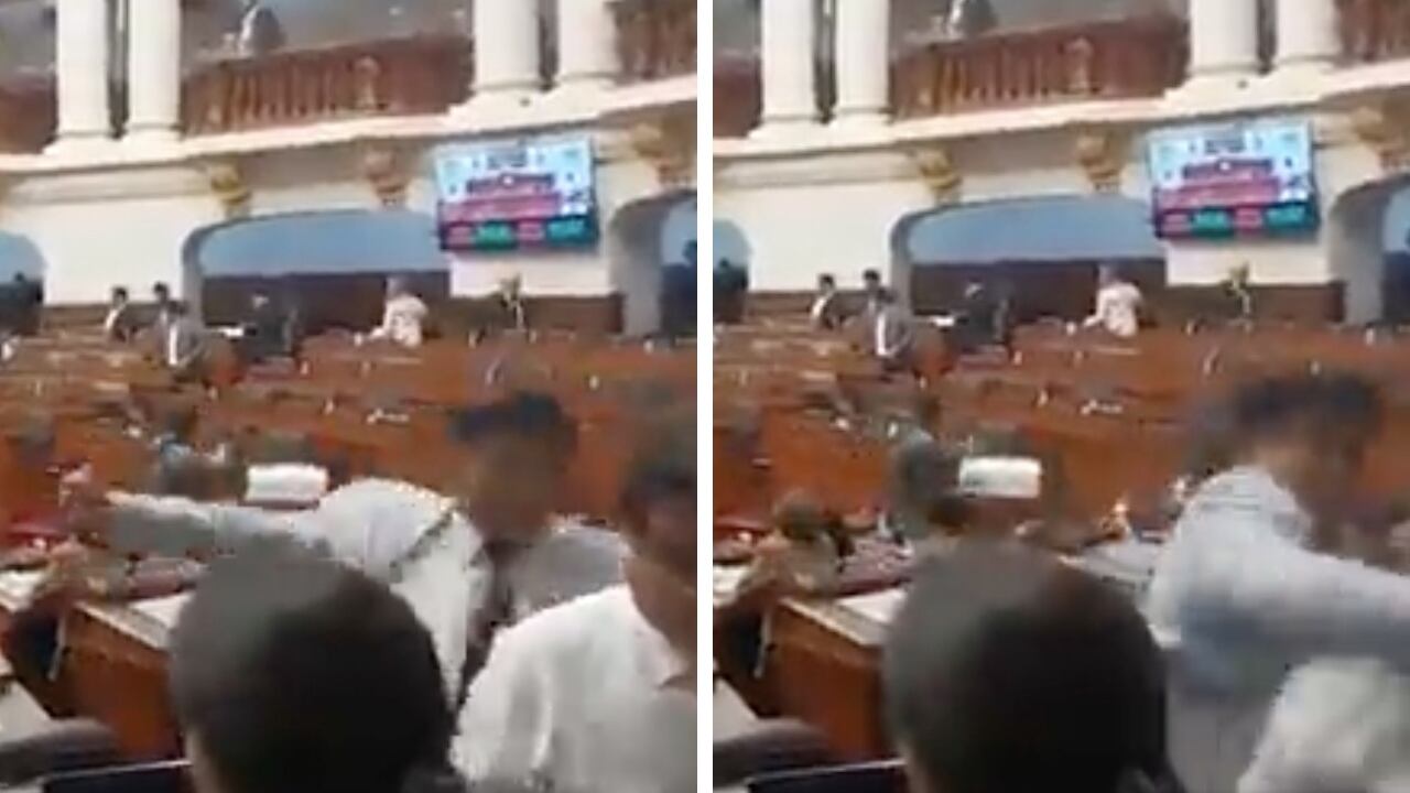 Pasión Dávila le lanzó un puño a su colega fue suspendido por 120 días del Congreso de Perú