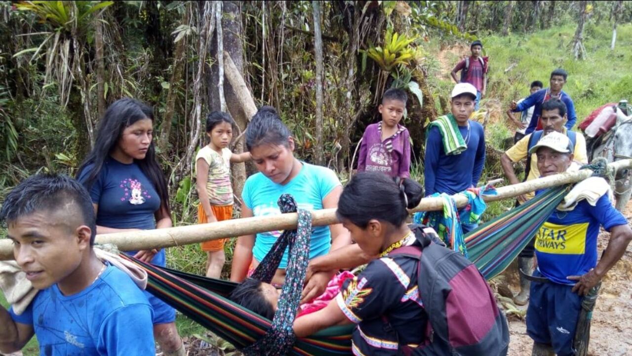 Docente indígena que fue mordida por una serpiente en Frontino, Antioquia falleció mientras era trasladada.