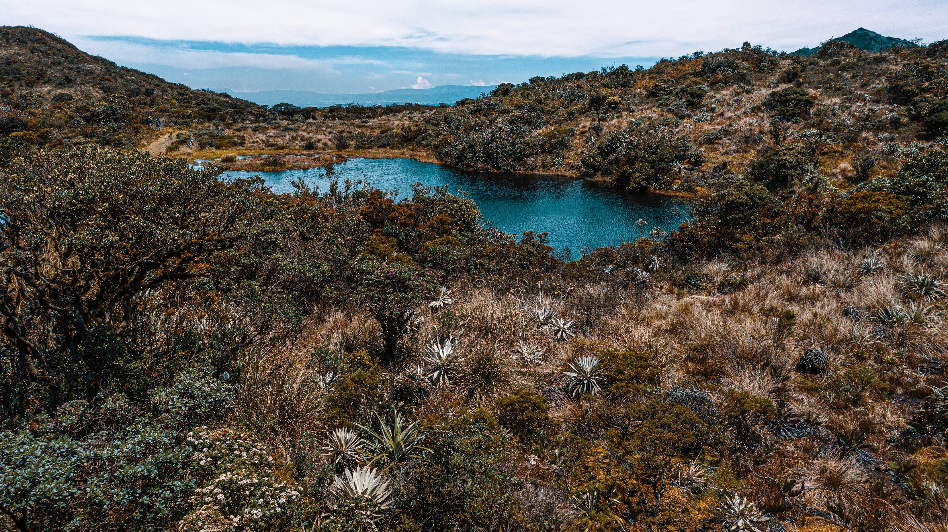 Especial Turismo, Bogotá IDT, Mejor Colombia