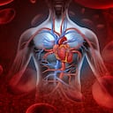 La cocoa tiene propiedades anticoagulantes similares a las de la aspirina, lo que mejora la circulación sanguínea, afirma un estudio del año 2000 publicado en la Revista Americana de Nutrición Clínica. Foto: Pantherstock.