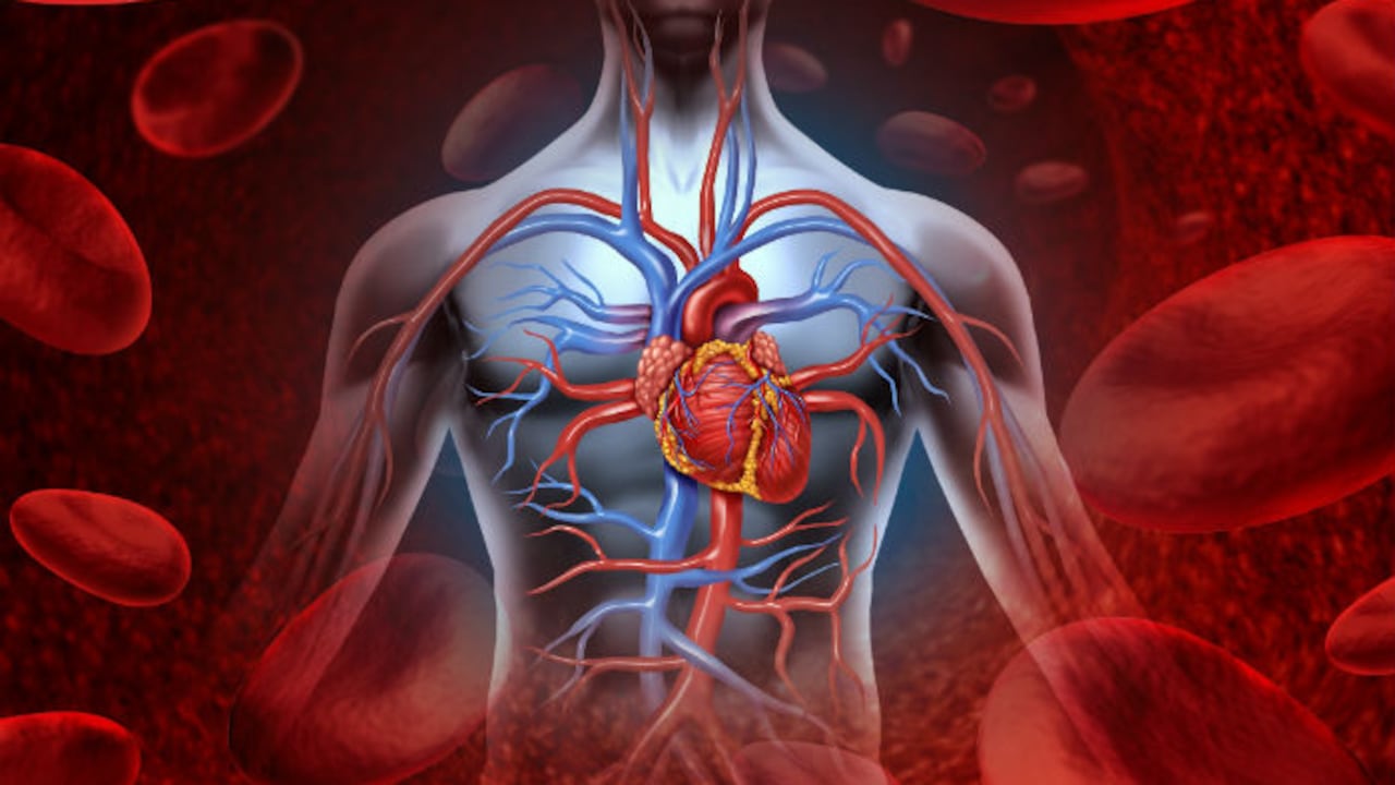 Es importante adoptar cambios en el estilo de vida para mitigar los problemas circulatorios.