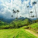 El valle del Cocora es uno de los lugares más bellos que tiene Colombia