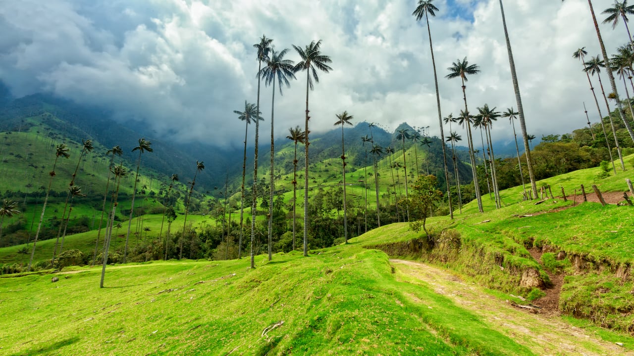 El Valle del Cocora es uno de los lugares turísticos más especiales de Colombia.