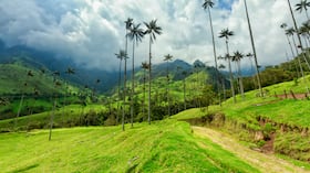 El valle del Cocora es uno de los lugares más bellos que tiene Colombia