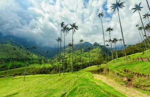 El valle del Cocora es uno de los lugares más bellos que tiene Colombia