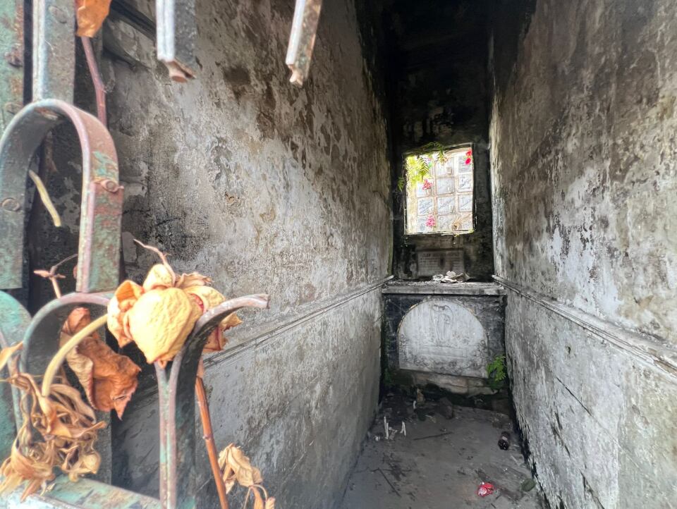 Imágenes del estado en el que se encuentra el cementerio central de Bogotá.