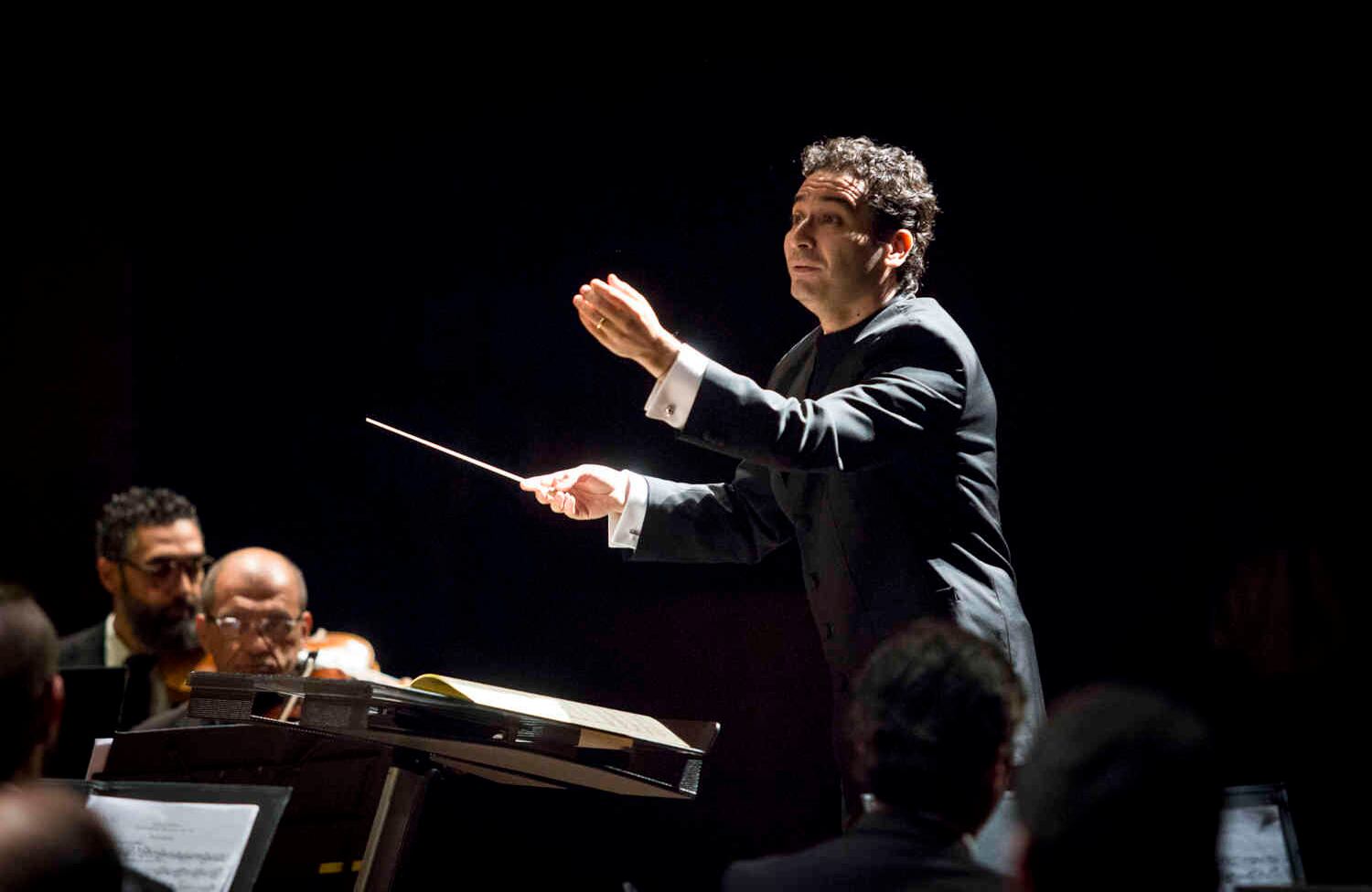 Foto: David Estrada Larrañeta