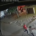 Robo a mano armada en el Municipio de Santo Tomás, Atlántico