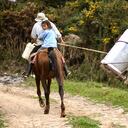 Paro Nacional en Colombia: convocan a lechetón para disminuir pérdidas por bloqueos