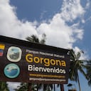 Gorgona es una isla ubicada a 28 km al oeste de la costa del Pacífico colombiano. Junto con Malpelo, son las únicas islas de Colombia en el océano Pacífico. Gorgona pertenece al departamento del Cauca.