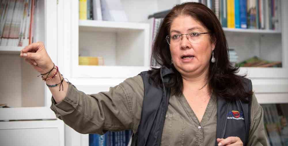 Alejandra Barrios, directora de la MOE