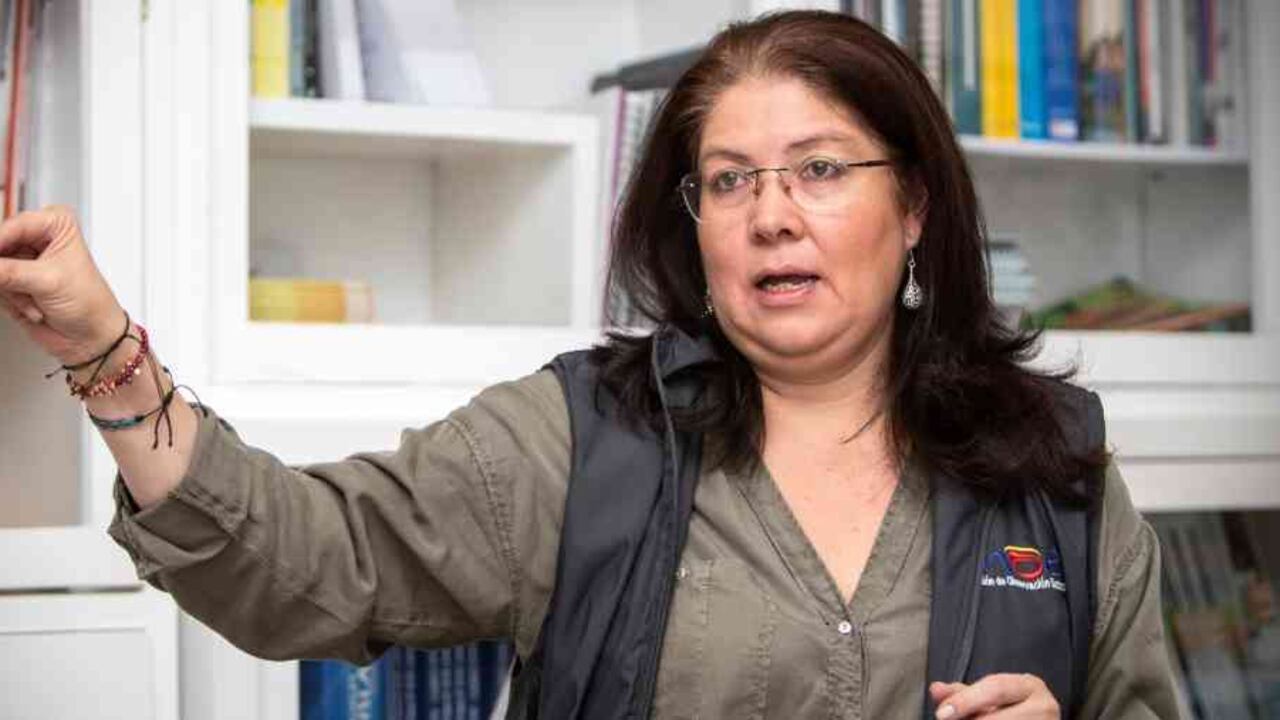 La Misión de Observación Electoral está revisando las votaciones que se hicieron en todo país.