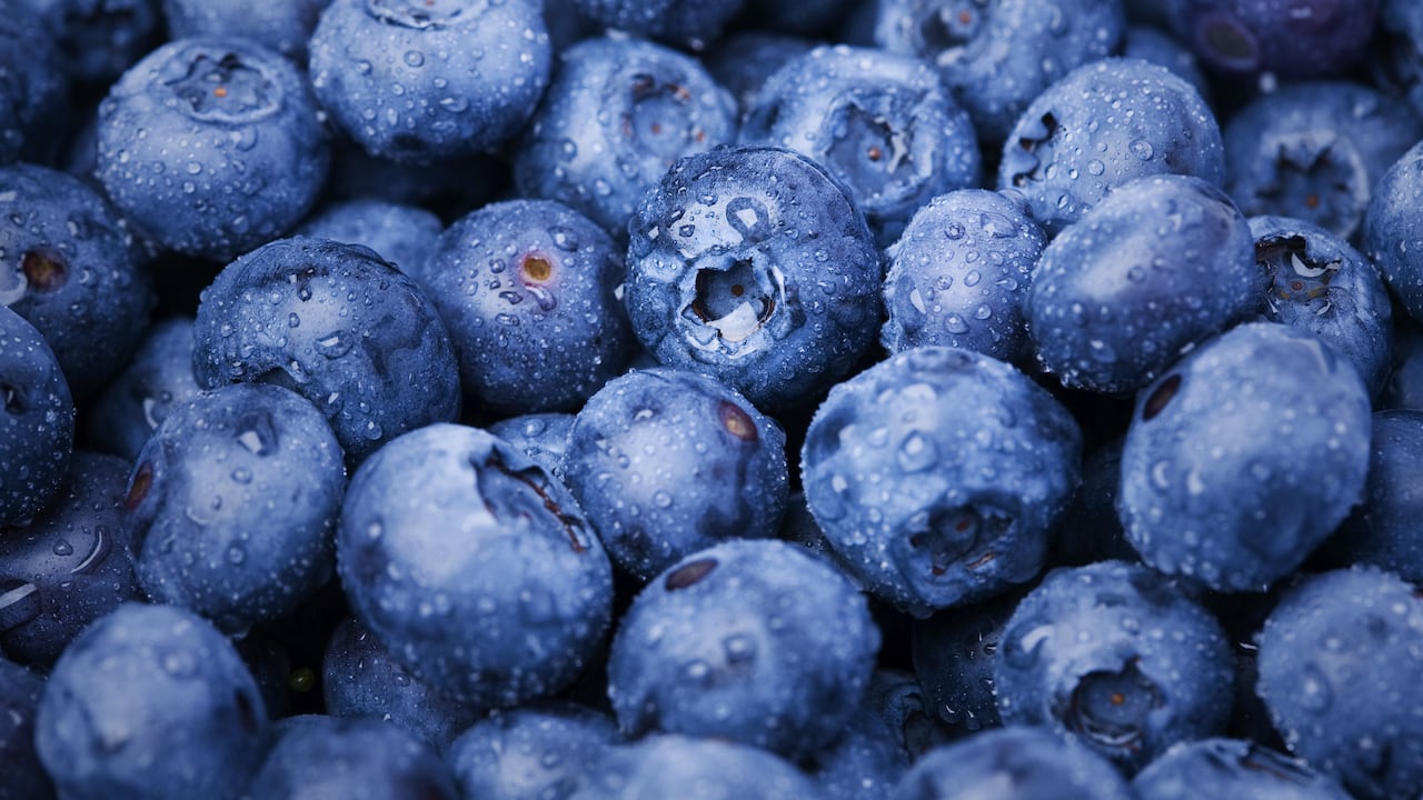 Foto referencia sobre arándanos.