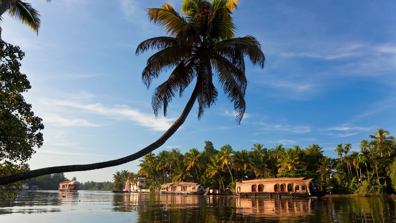 Kerala ofrece festivales y templos que permiten a los visitantes sumergirse en su rica cultura espiritual.