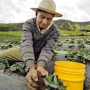 En 2015, 23% de la población colombiana habitaba en zonas rurales de acuerdo con la Encuesta de Calidad de Vida del Dane.