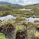 La descontaminación del río Bogotá es posible y debe ser una prioridad no solo para las autoridades, sino también para los ciudadanos.
