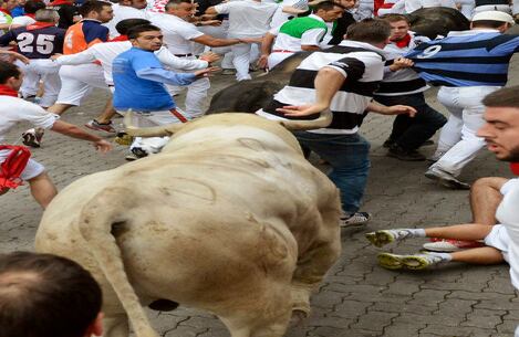 Sobrevivientes a tres toros 