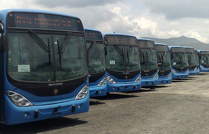 El MIO está estructurado en dos fases. La fase 1 cuyas troncales conectarán la ciudad de norte a sur, prevé una flotilla de 103 buses articulados (160 pasajeros), 236 padrones (80 pasajeros) y 131 complementarios (48 pasajeros). En la actualidad sólo operan los denominados buses padrones. La fase II está prevista para 2012 y sus arterias viales irán de oriente a occidente.