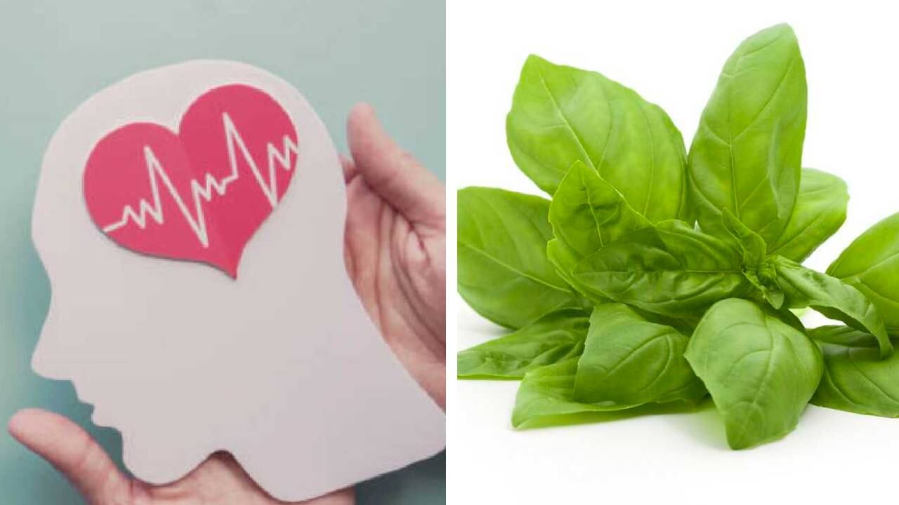 El aceite de Albahaca es uno de los que recomiendan os expertos para mejorar la concentración. Foto: Getty Images. Montaje SEMANA.