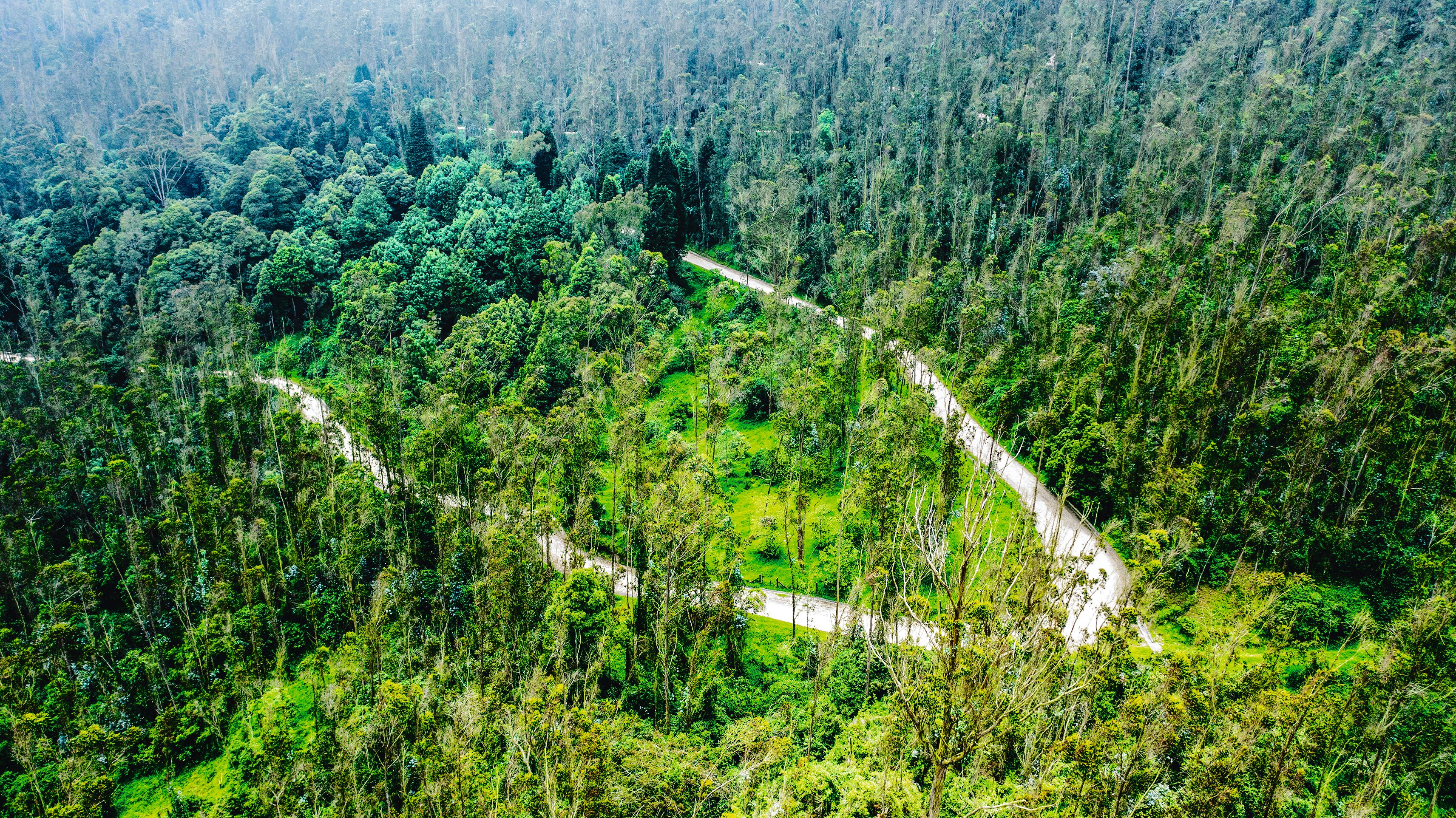 ENEL - VIII Cumbre de Sostenibilidad - SEMANA Sostenible