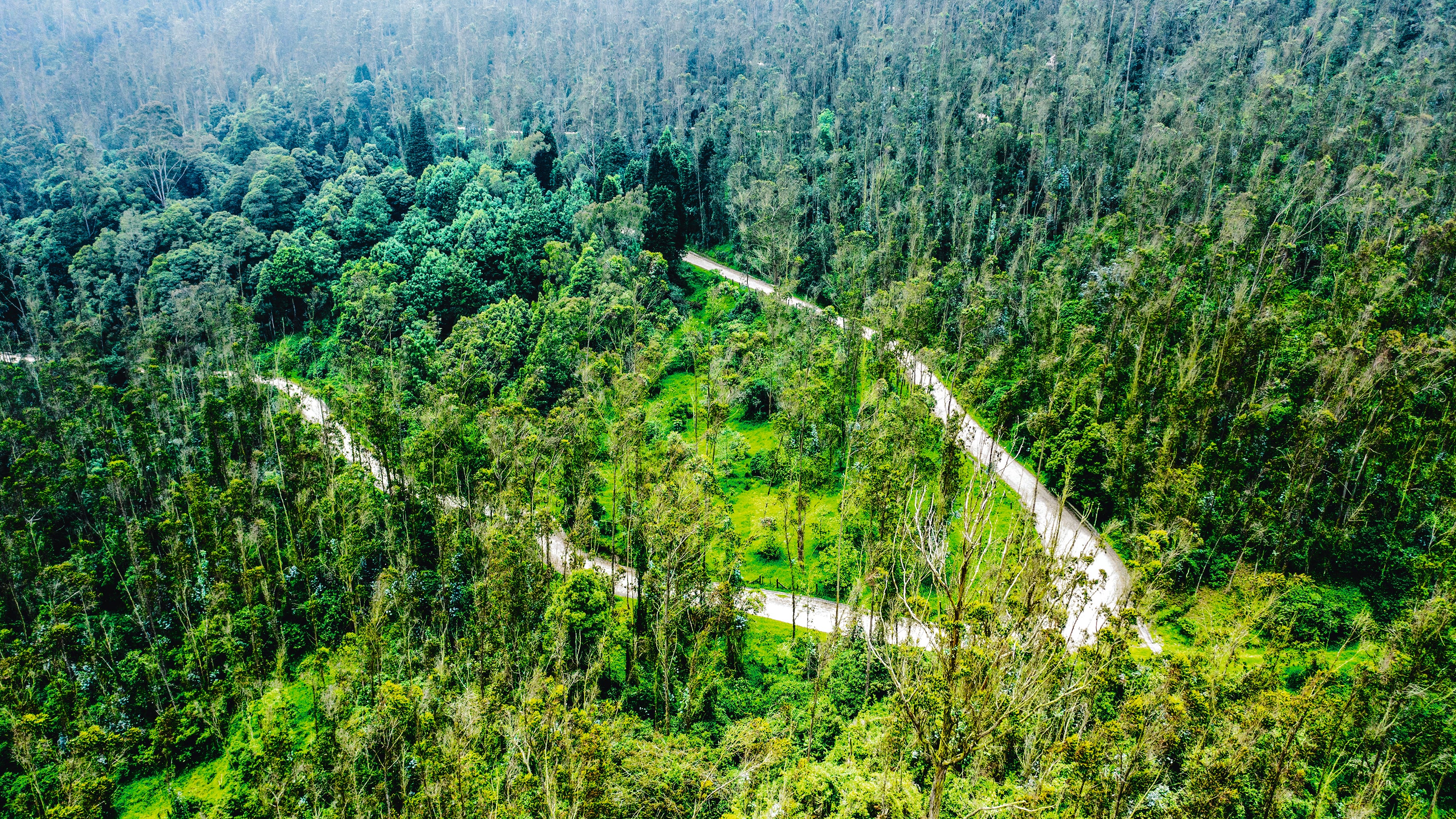 ENEL - VIII Cumbre de Sostenibilidad - SEMANA Sostenible