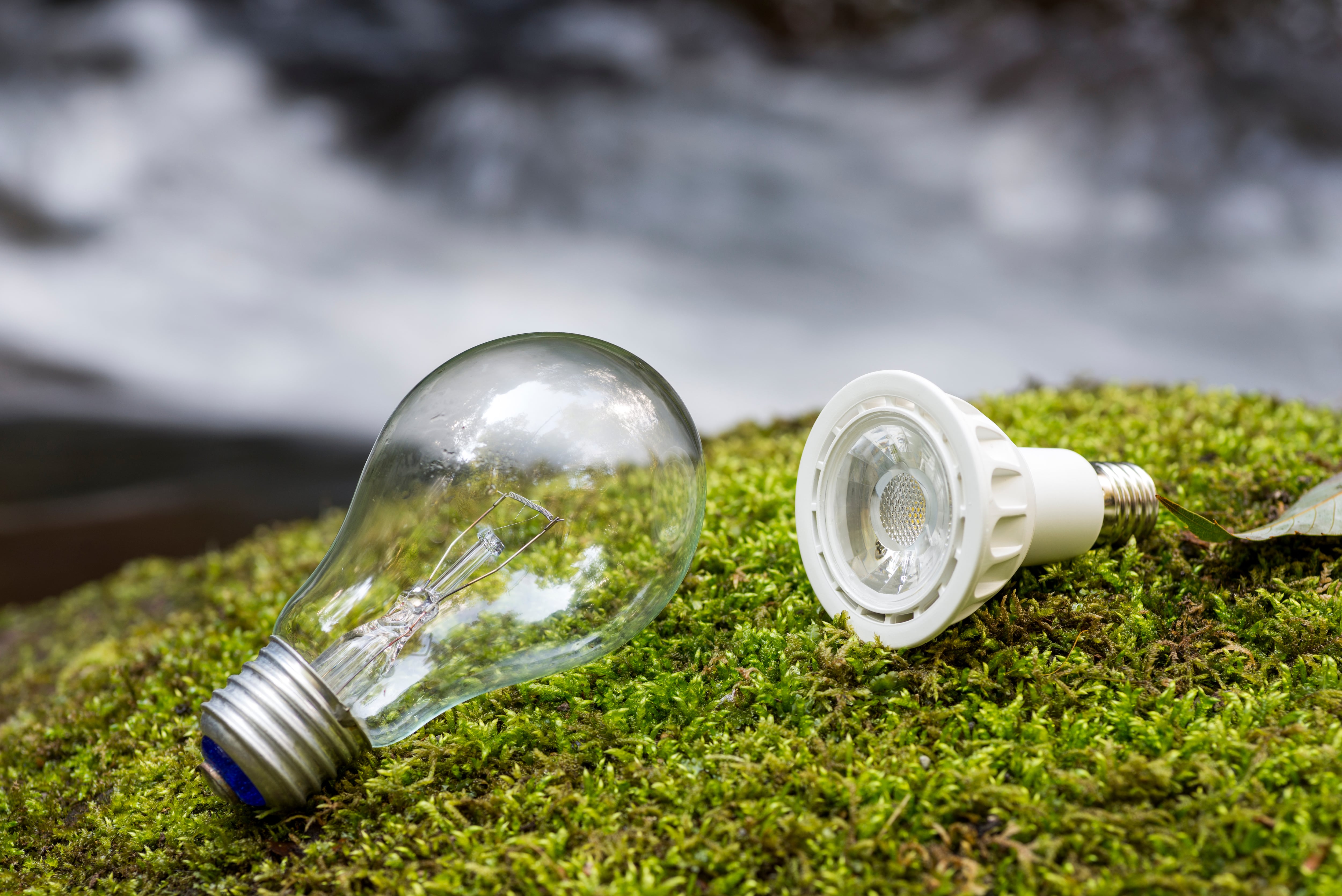 Bombillo energía razonamiento