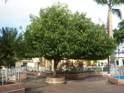 Caparrapí, Cundinamarca