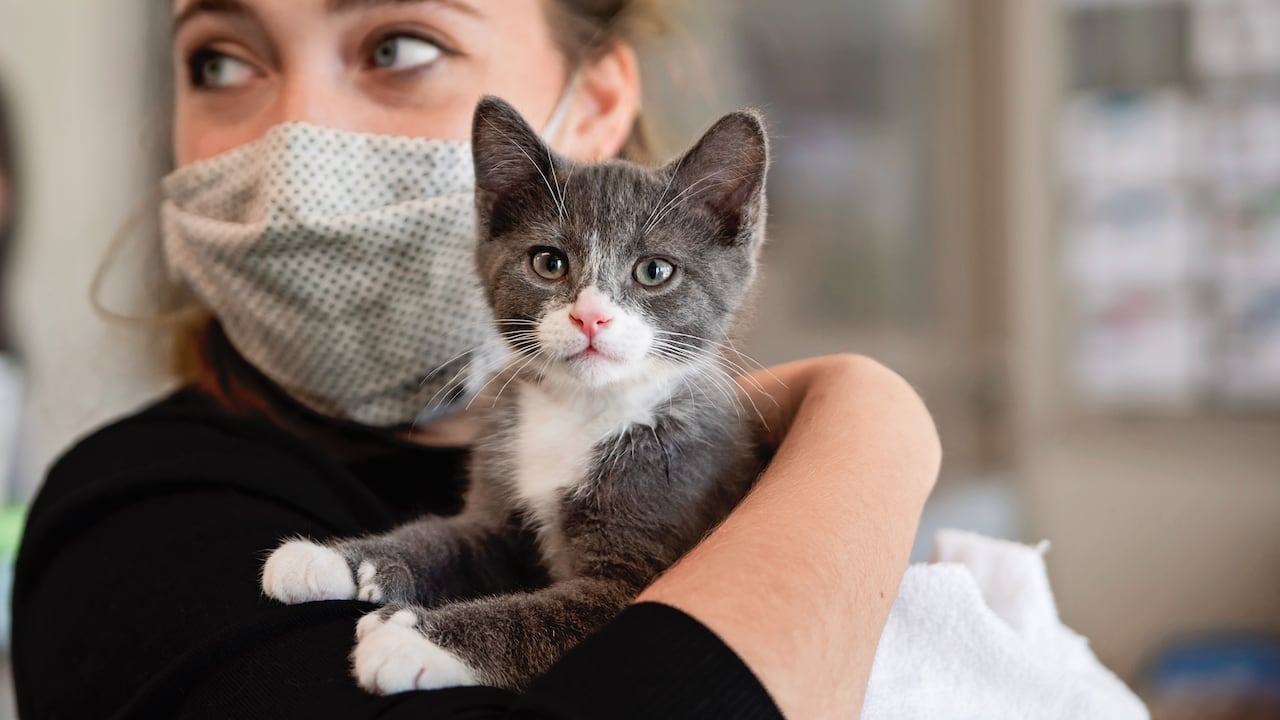 Los sinsabores que deja la pandemia