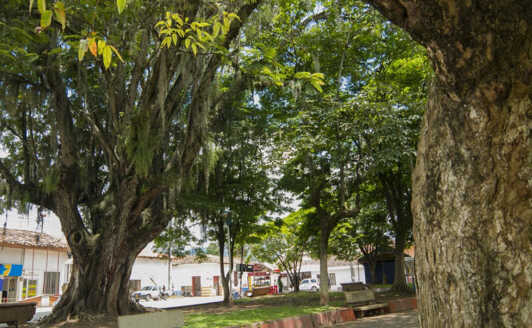 Riofrío, Valle del Cauca