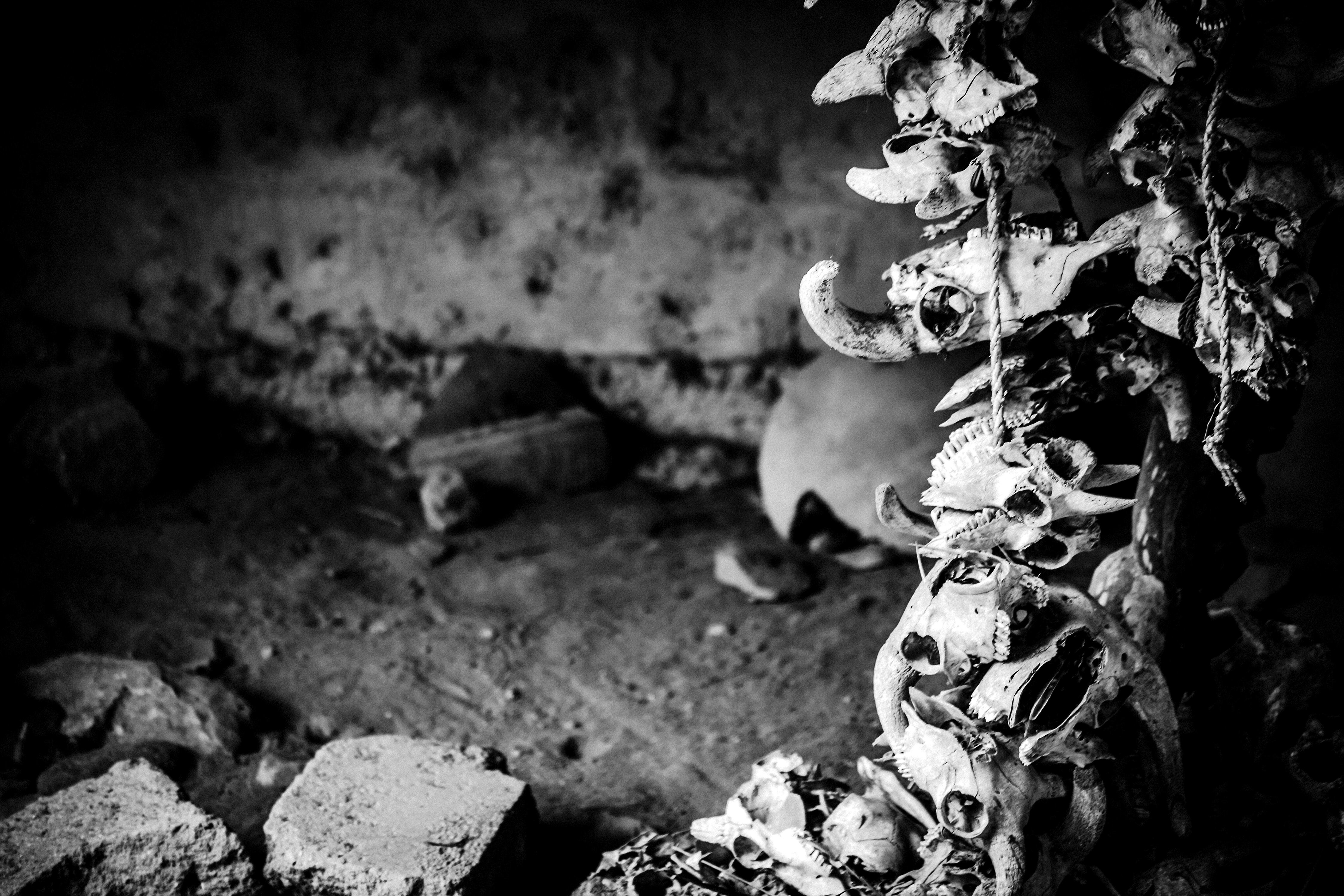 África (Foto Getty)