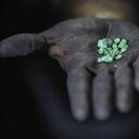 La Asociación de Productores de Esmeraldas de Colombia (Aprecol) ha participado activamente en conferencias de la Ocde para promover buenas prácticas mineras.