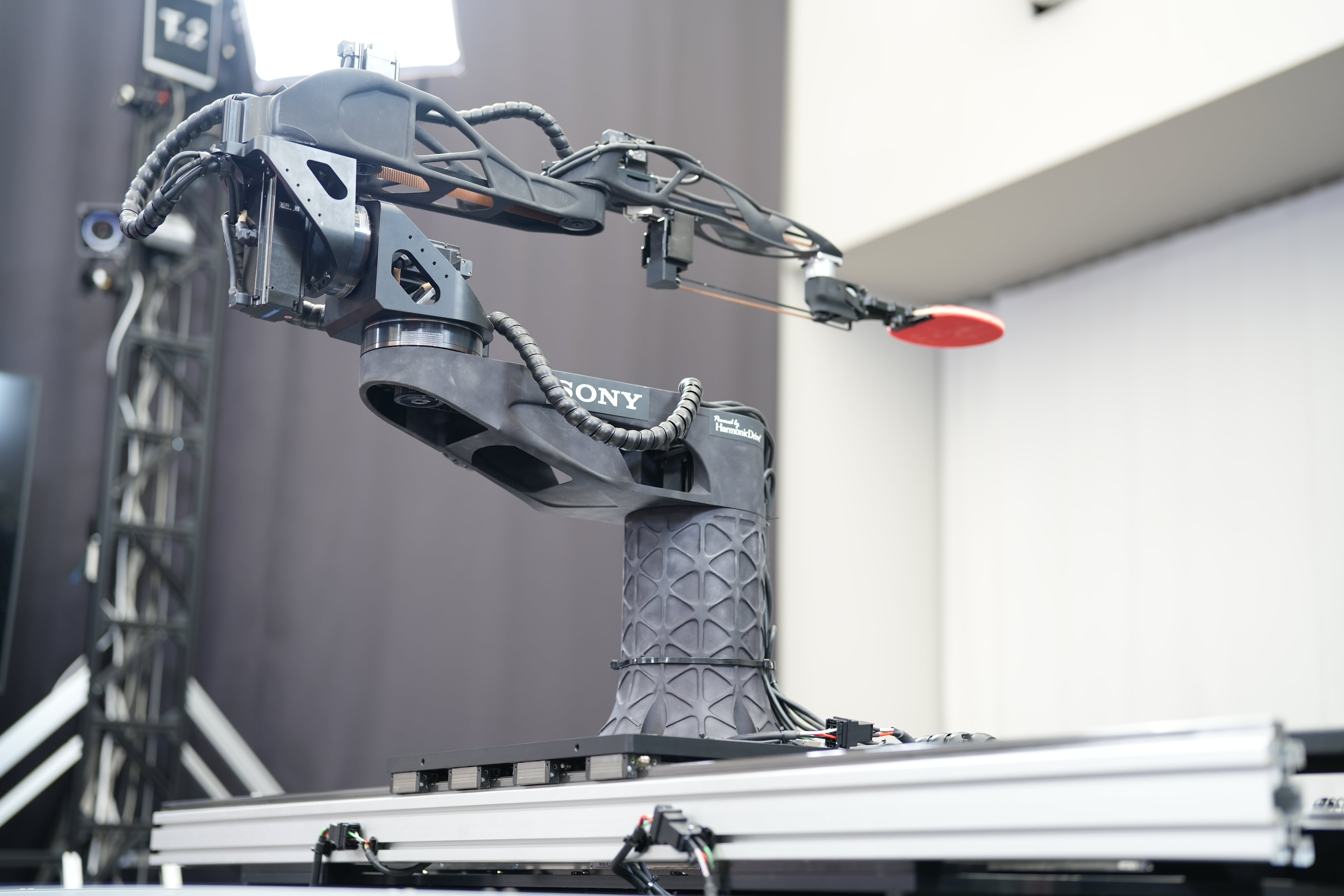 Con una combinación de estrategia, técnica y rapidez, Ace logra competir al más alto nivel del tenis de mesa.