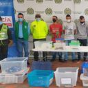 Traficaban fauna silvestre por empresas de mensajería