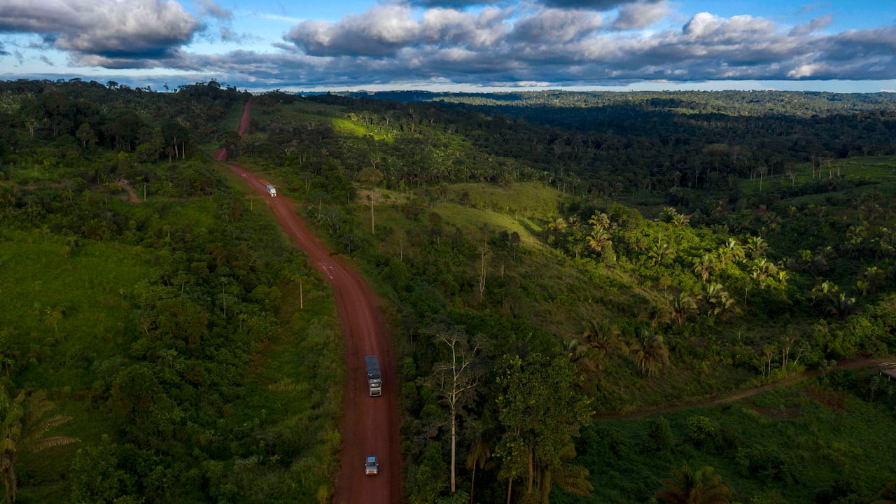 Las cifras de la tala de bosques vienen en aumento en Brasil: Foto: AFP