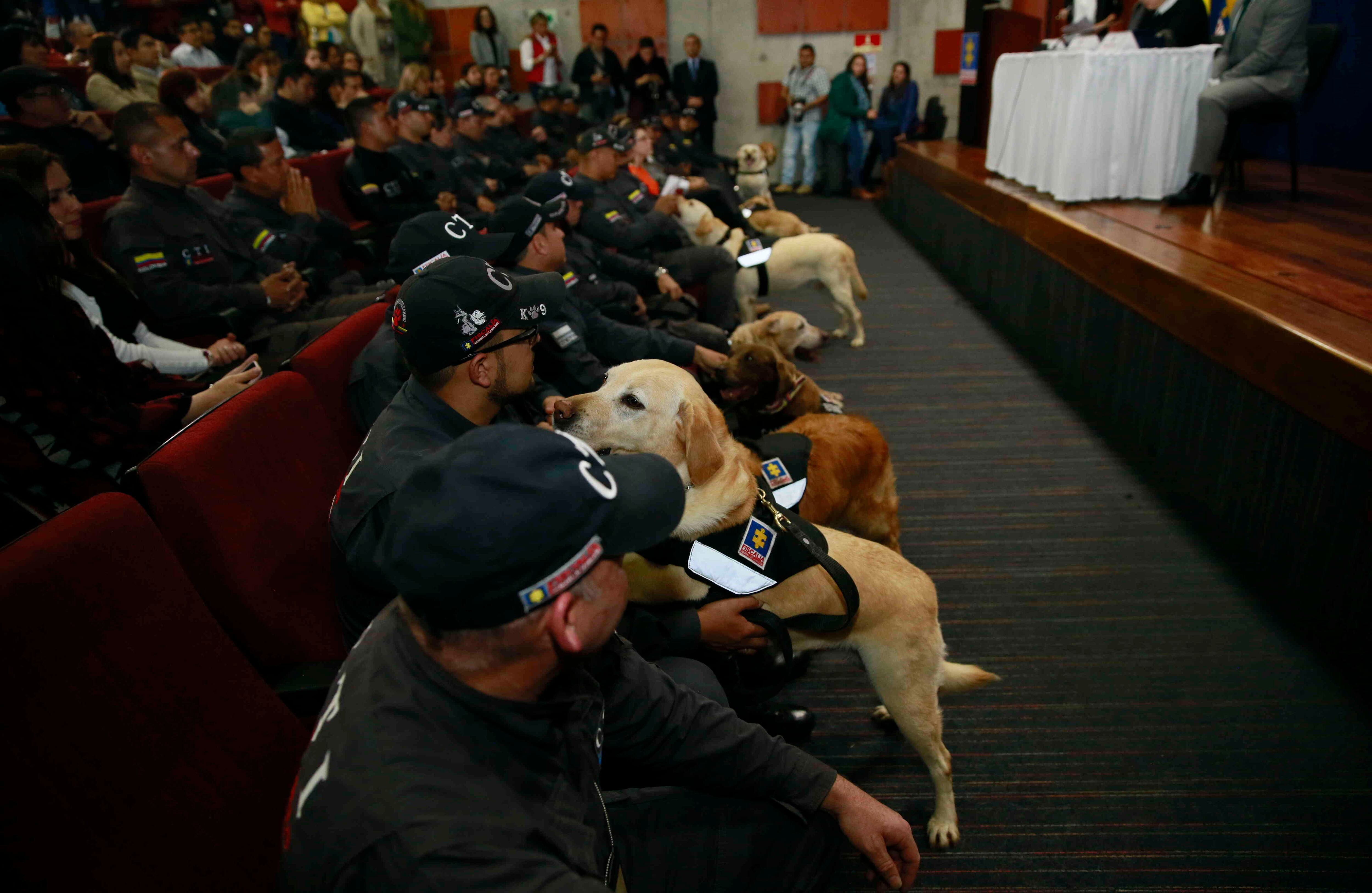 Fueron jubilados a sus 8 años de servicio.