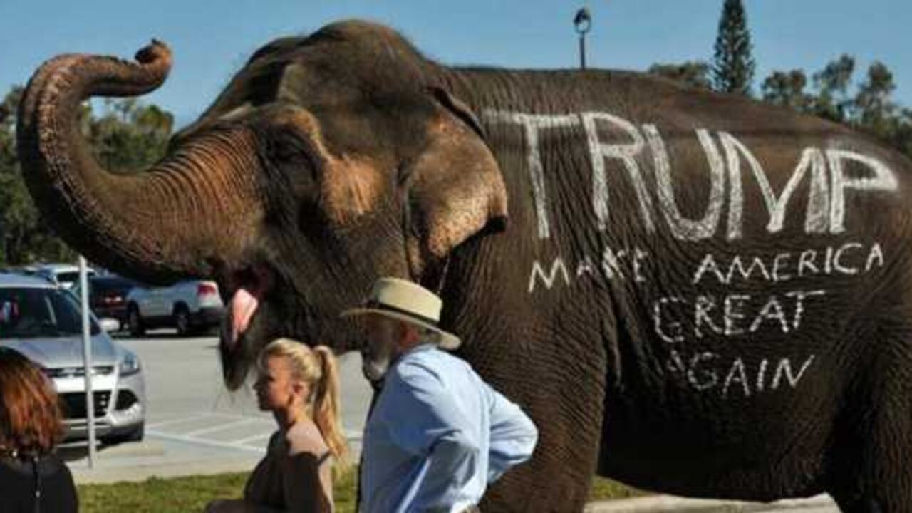 Un elefante de circo saluda a partidarios del candidato presidencial republicano Donald Trump a la salida de un acto de campaña.