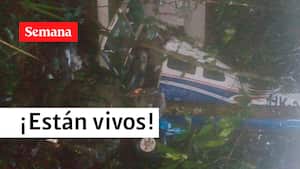 Milagro: Encuentran con vida a cuatro menores de edad en Guaviare