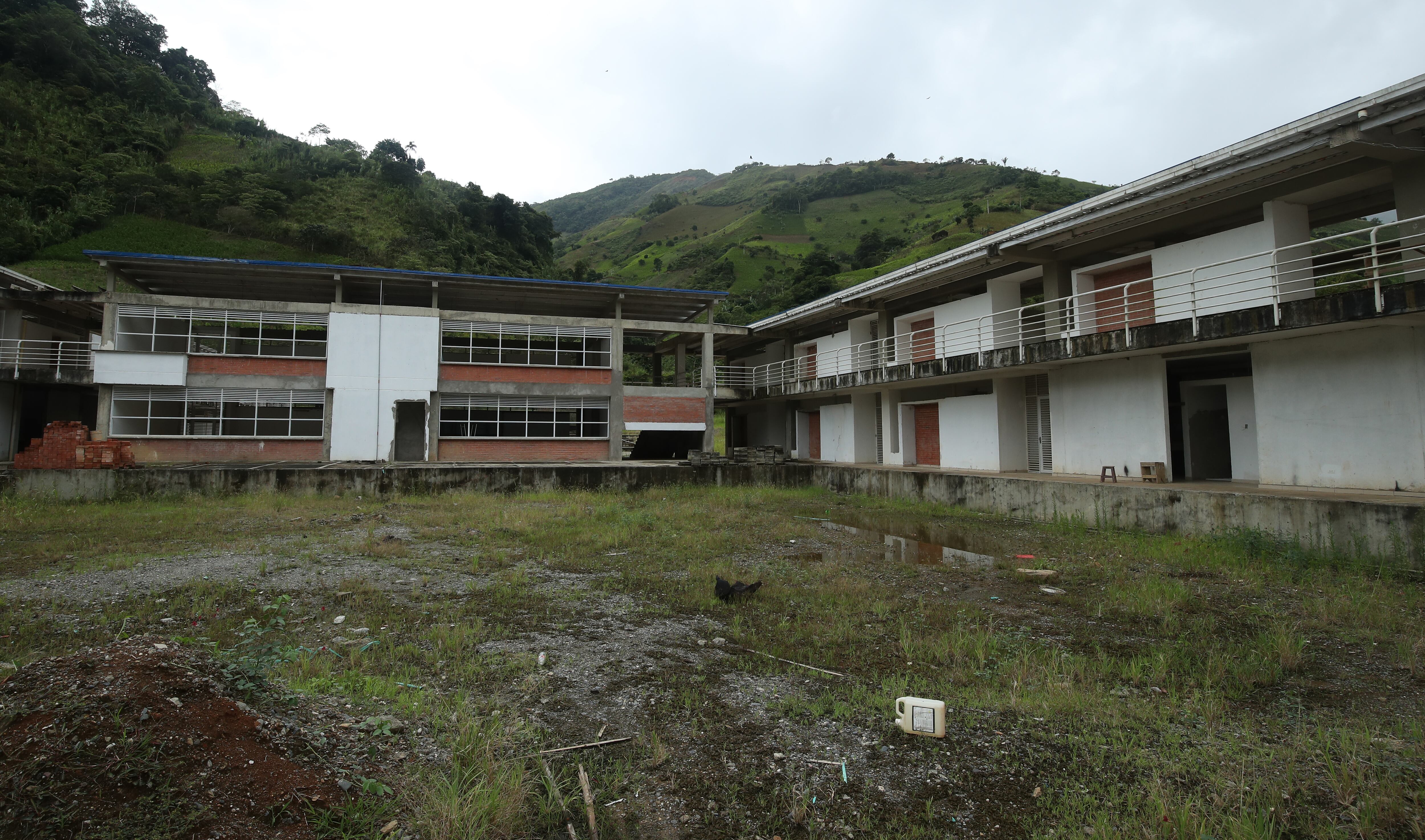 Coca y elefante banco