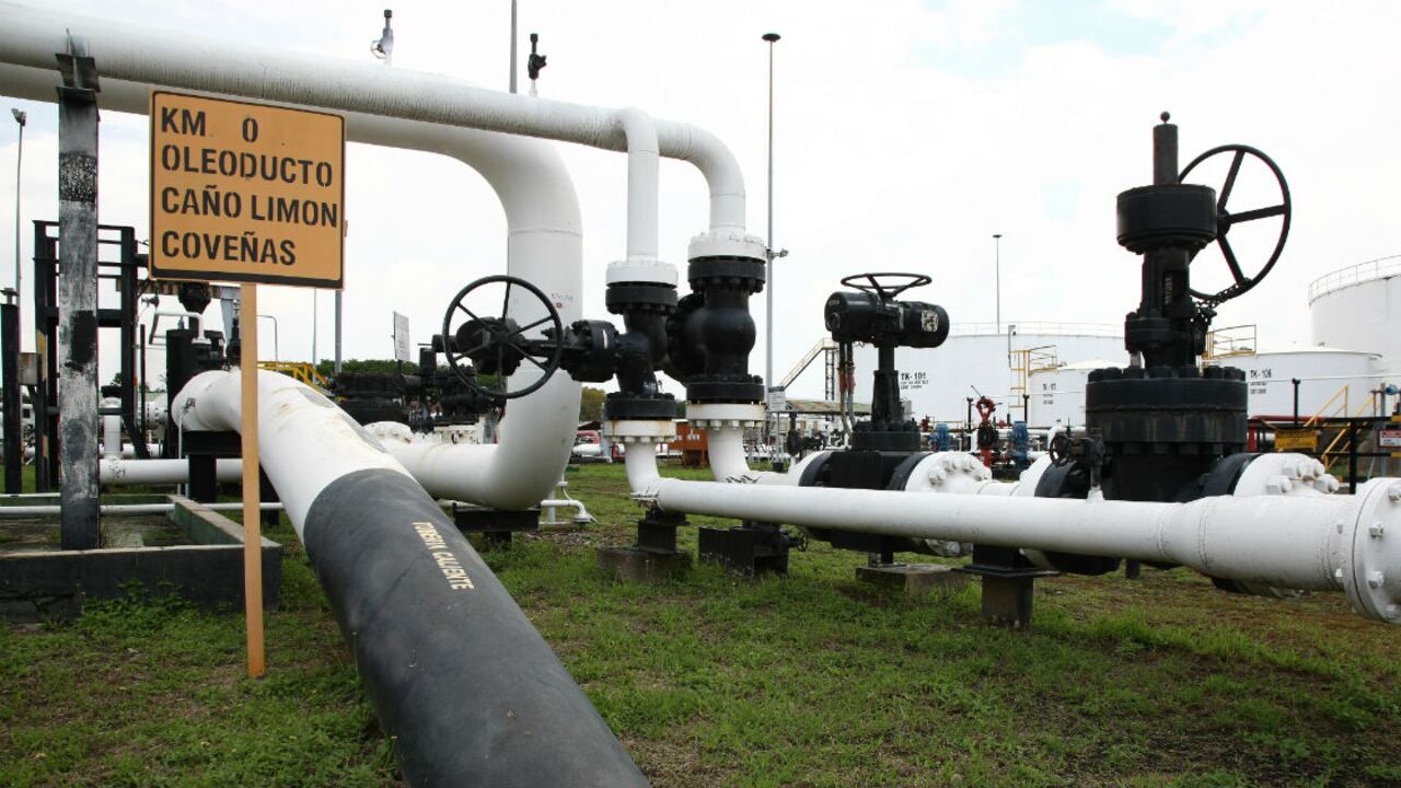 Los trabajadores asesinados cumplían sus labores en el oleoducto Caño Limón - Coveñas, de casi 800 kilómetros de largo.