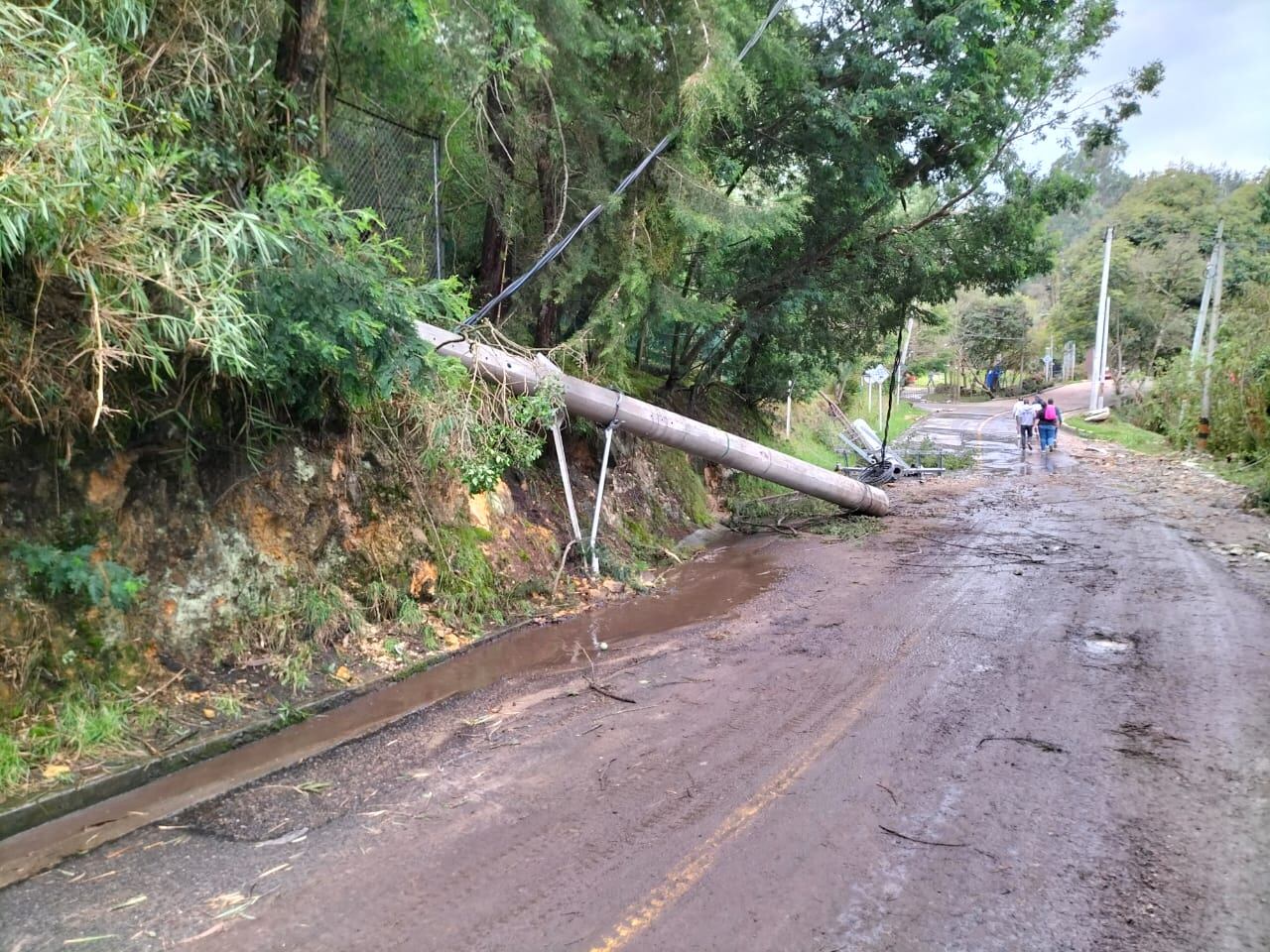 Árboles y postes caídos en la vía Bogotá - La Calera.
