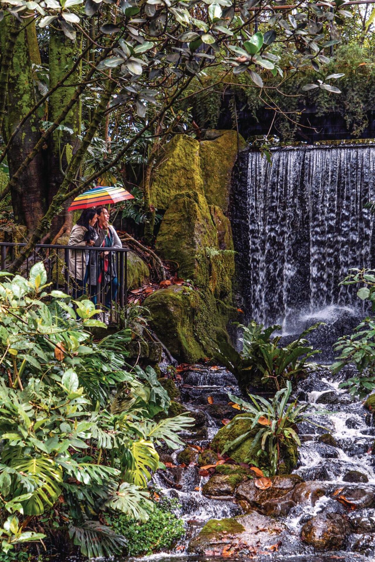 El Jardín Botánico es uno de los destinos imperdibles de la capital.