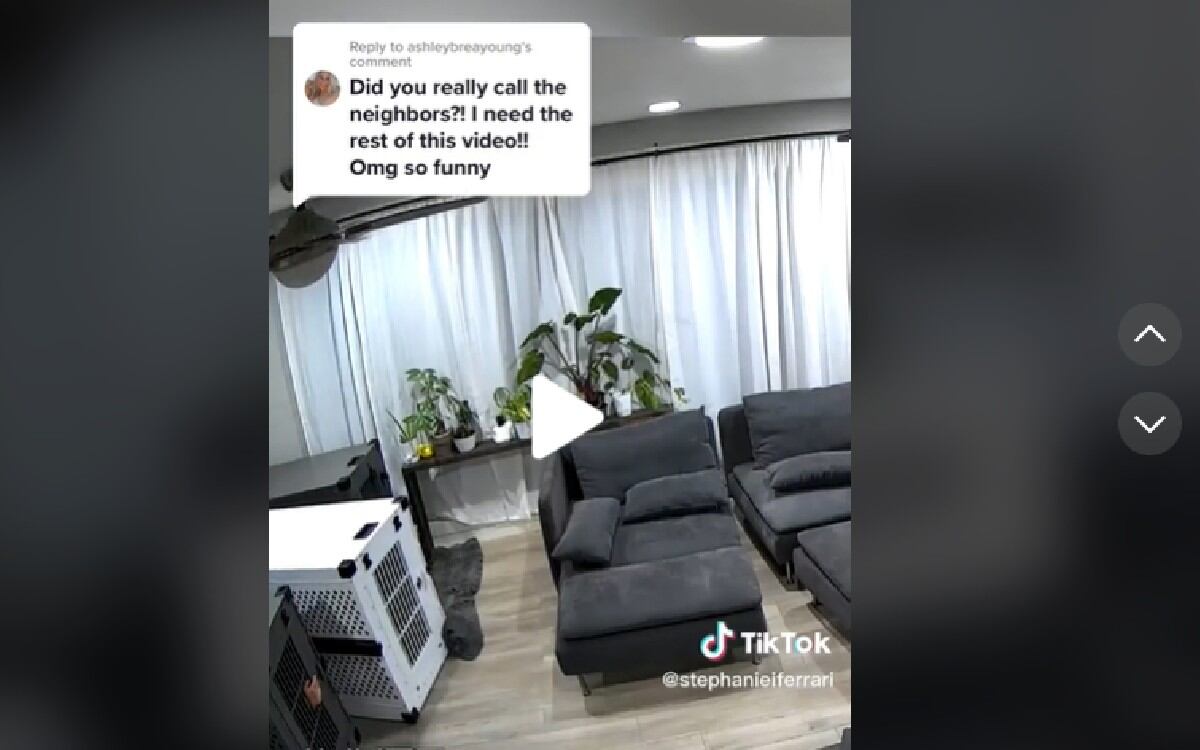 El hecho quedó captado en un clip que se hizo viral en la plataforma con más 12 millones de reproducciones.