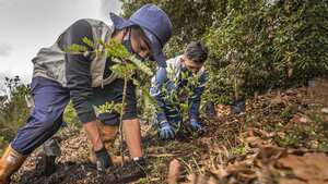Más de 100 reconocidas organizaciones en todo el mundo hacen parte de Priceless Planet Coalition de Mastercard.