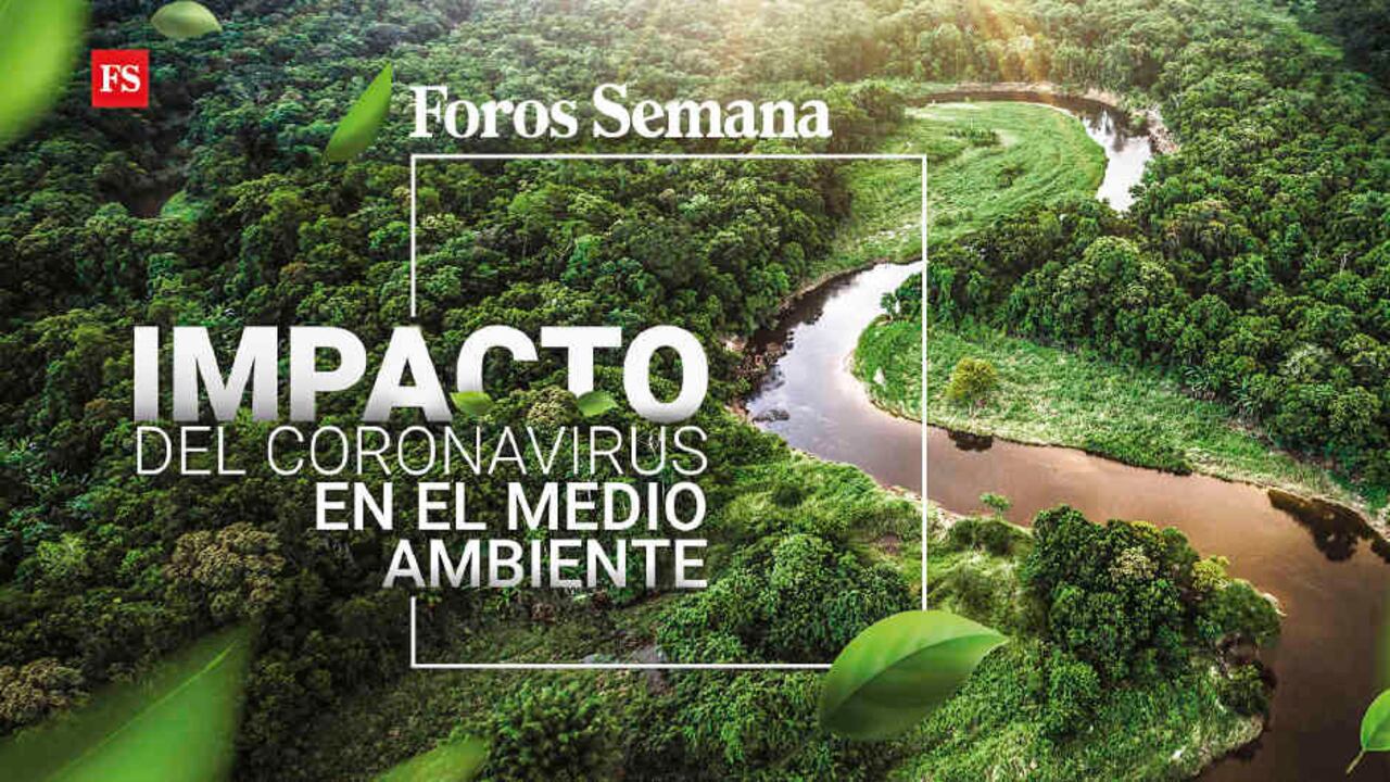 Webinar ‘Impacto del coronavirus en el medioambiente