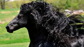 Foto: Cally Matherly