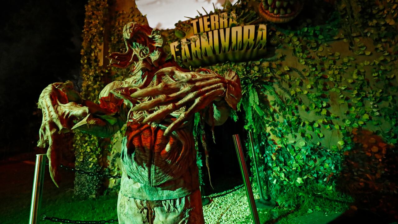 Galería Festival del Terror